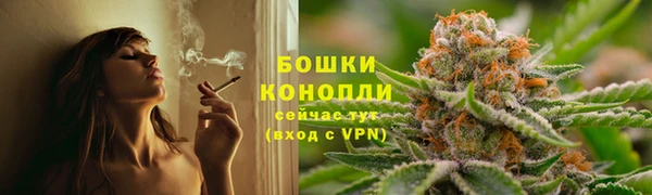 гашик Мегион