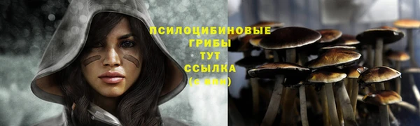 Альфа ПВП Арсеньев